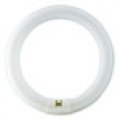 TLE T8 TP928026384000 RTP global 001