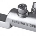 skn 300x174